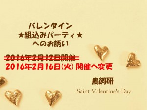 embedded_party_2015_ver3_Page_01